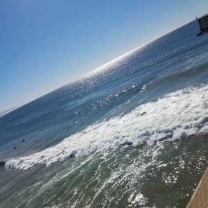 Meet your Posher, Arnold